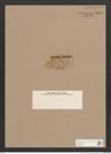 Navicula sp. (de-Toni-Nr.: Genus 1) Zeichnungen Sammlung Grunow Nr. 1613 (NHMW-BOT-W0368167)